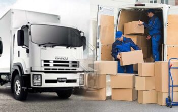 Movers in Sharjah
